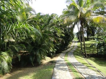 VENDO FINCA EN SANTA FE DE ANTIOQUIA A 1 KM DEL PUEBLO