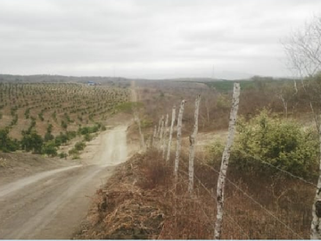 Terreno de Venta en vía a la Costa