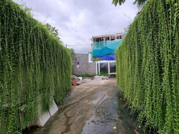 House For Rent, Furnished & Newly Renovated - Kemang Utara, South Jakarta