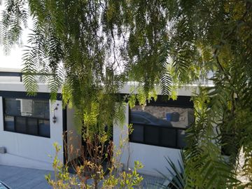 RENTA DE CASA DE UN NIVEL EN FRACCIONAMIENTO BALVANERA GOLF POLO & COUNTRY CLUB  QUERÉTARO