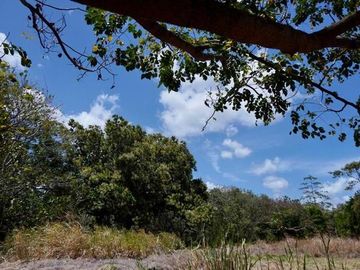 LOTE DE VENTA EN CABUYA CHAME PANAMA