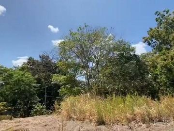 LOTE DE VENTA EN CABUYA CHAME PANAMA