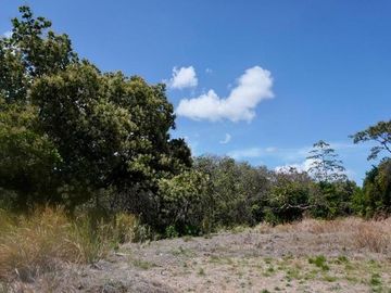 LOTE DE VENTA EN CABUYA CHAME PANAMA