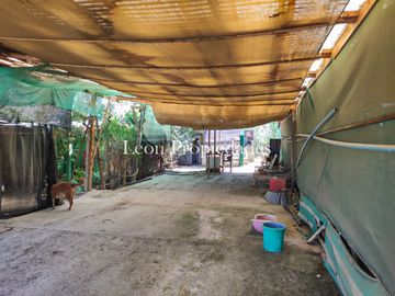 Leon Propiedades vende parcela plana con 2 casas en sector Cuyuncavi, Curacavi