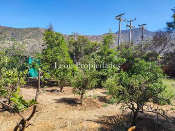 Leon Propiedades vende parcela plana con 2 casas en sector Cuyuncavi, Curacavi