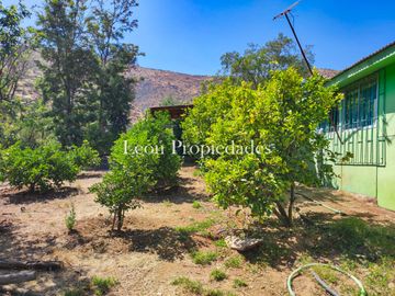 Leon Propiedades vende parcela plana con 2 casas en sector Cuyuncavi, Curacavi