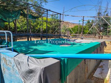 Leon Propiedades vende parcela plana con 2 casas en sector Cuyuncavi, Curacavi