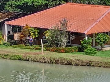 VENTA DE FINCA CON UNIDAD DE PRODUC.DE ESPECIES DE PESCADO DE AGUA CALIENTE