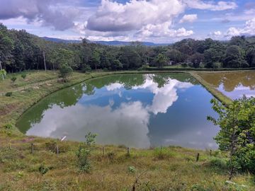 VENTA DE FINCA CON UNIDAD DE PRODUC.DE ESPECIES DE PESCADO DE AGUA CALIENTE