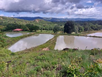 VENTA DE FINCA CON UNIDAD DE PRODUC.DE ESPECIES DE PESCADO DE AGUA CALIENTE