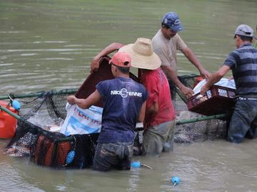 VENTA DE FINCA CON UNIDAD DE PRODUC.DE ESPECIES DE PESCADO DE AGUA CALIENTE