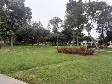 Venta De Moderno Duplex En San Borja A Media Cuadra Del Parque Chino (cencalada)