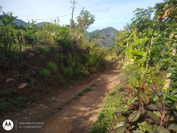 FINCA DE 2 HTS EN MINCA SANTA MARTA COLOMBIA.