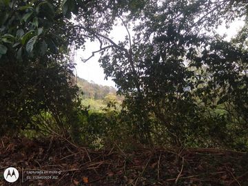 FINCA DE 2 HTS EN MINCA SANTA MARTA COLOMBIA.