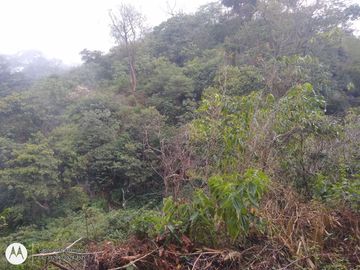 FINCA DE 2 HTS EN MINCA SANTA MARTA COLOMBIA.
