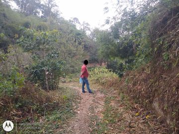 FINCA DE 2 HTS EN MINCA SANTA MARTA COLOMBIA.