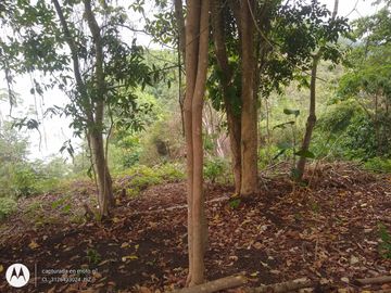 FINCA DE 2 HTS EN MINCA SANTA MARTA COLOMBIA.