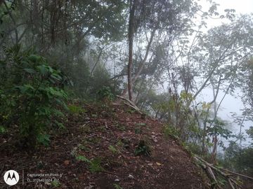 FINCA DE 2 HTS EN MINCA SANTA MARTA COLOMBIA.