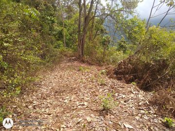 FINCA DE 2 HTS EN MINCA SANTA MARTA COLOMBIA.
