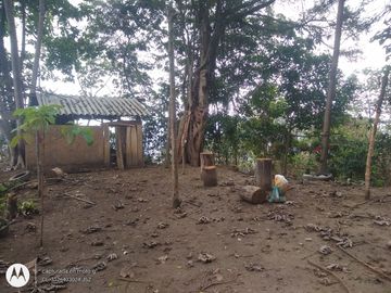 FINCA DE 2 HTS EN MINCA SANTA MARTA COLOMBIA.