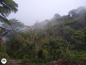 FINCA DE 2 HTS EN MINCA SANTA MARTA COLOMBIA.