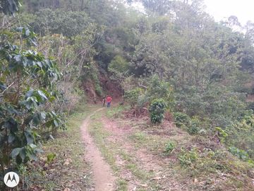 FINCA DE 2 HTS EN MINCA SANTA MARTA COLOMBIA.