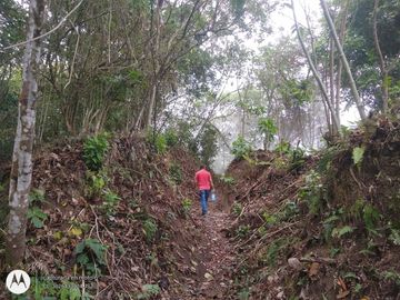 FINCA DE 2 HTS EN MINCA SANTA MARTA COLOMBIA.