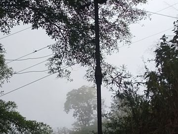 FINCA DE 2 HTS EN MINCA SANTA MARTA COLOMBIA.