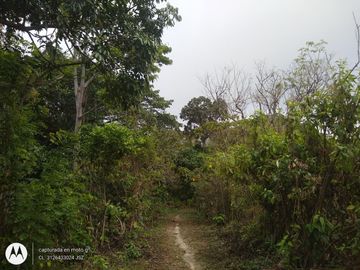 FINCA DE 2 HTS EN MINCA SANTA MARTA COLOMBIA.