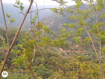 FINCA DE 2 HTS EN MINCA SANTA MARTA COLOMBIA.