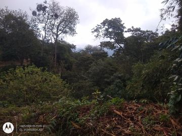 FINCA DE 2 HTS EN MINCA SANTA MARTA COLOMBIA.