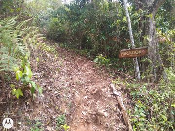 FINCA DE 2 HTS EN MINCA SANTA MARTA COLOMBIA.