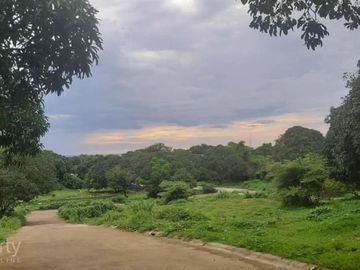 DOLPHY VILLE ESTATES RESIDENTIAL LOT FOR SALE.