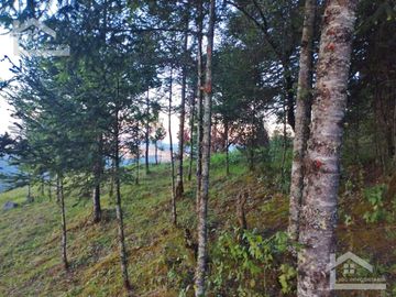 TERRENO CON VISTA PANORÁMICA BELLÍSIMA!!