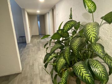 Excelente inversión venta de casa habilitada para estudiantes