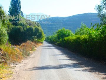 VENDEMOS Parcelas con nogales como inversión o vivir