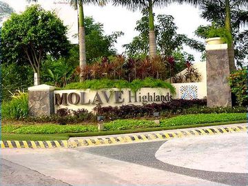 For Sale Brandnew 4 Bedrooms House in Consolacion