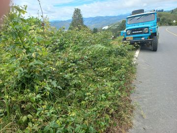 VENDO FINCA DE TRABAJO EN CONCEPCIÓN ANTIOQUIA.