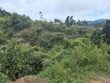 VENDO FINCA DE TRABAJO EN CONCEPCIÓN ANTIOQUIA.