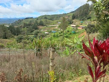 VENDO FINCA DE TRABAJO EN CONCEPCIÓN ANTIOQUIA.