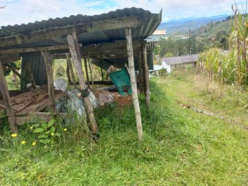 VENDO FINCA DE TRABAJO EN CONCEPCIÓN ANTIOQUIA.