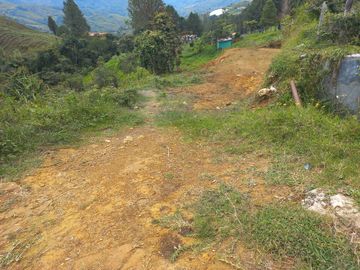VENDO FINCA DE TRABAJO EN CONCEPCIÓN ANTIOQUIA.