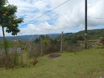 VENDO FINCA DE TRABAJO EN CONCEPCIÓN ANTIOQUIA.