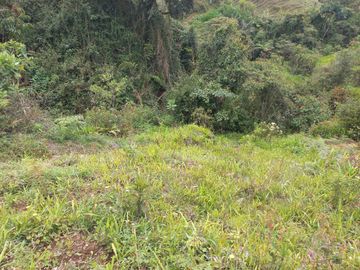 VENDO FINCA DE TRABAJO EN CONCEPCIÓN ANTIOQUIA.
