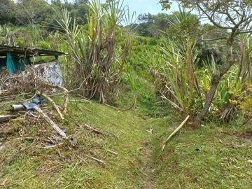 VENDO FINCA DE TRABAJO EN CONCEPCIÓN ANTIOQUIA.