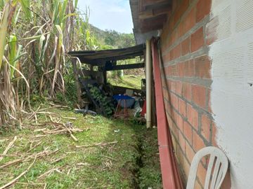 VENDO FINCA DE TRABAJO EN CONCEPCIÓN ANTIOQUIA.