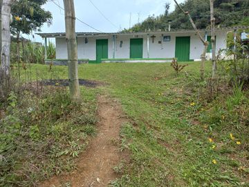 VENDO FINCA DE TRABAJO EN CONCEPCIÓN ANTIOQUIA.