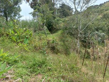 VENDO FINCA DE TRABAJO EN CONCEPCIÓN ANTIOQUIA.
