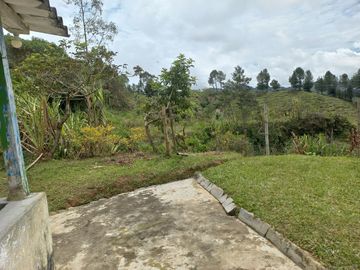 VENDO FINCA DE TRABAJO EN CONCEPCIÓN ANTIOQUIA.