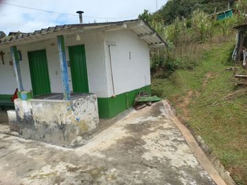 VENDO FINCA DE TRABAJO EN CONCEPCIÓN ANTIOQUIA.
